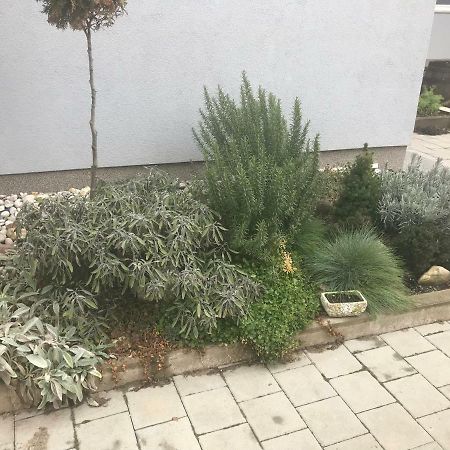 Studio Apartman Valentina Velika Mlaka Bagian luar foto