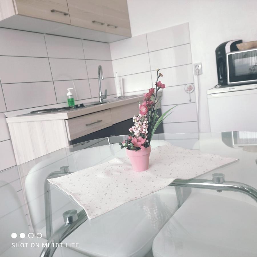 Studio Apartman Valentina Velika Mlaka Bagian luar foto