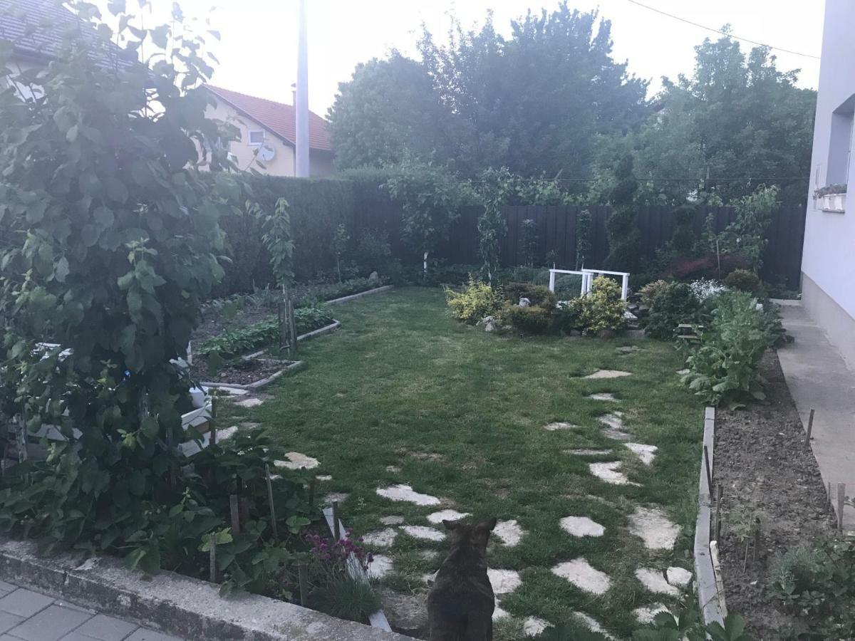 Studio Apartman Valentina Velika Mlaka Bagian luar foto